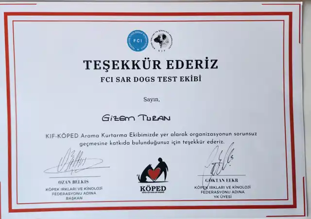 fci-arama-kurtarma-kopekleri-sinavi