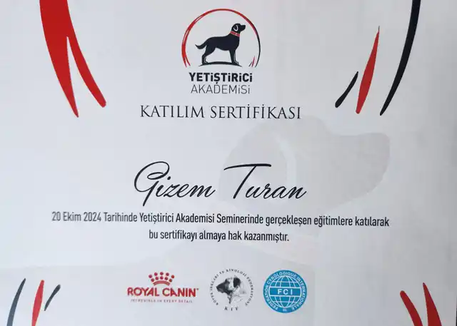 Kif Yetiştirici Akademisi 2024