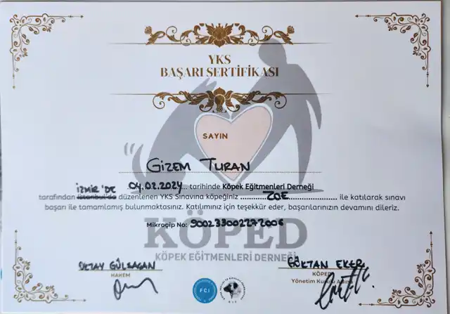 Zoe-yks-basari-sertifikasi