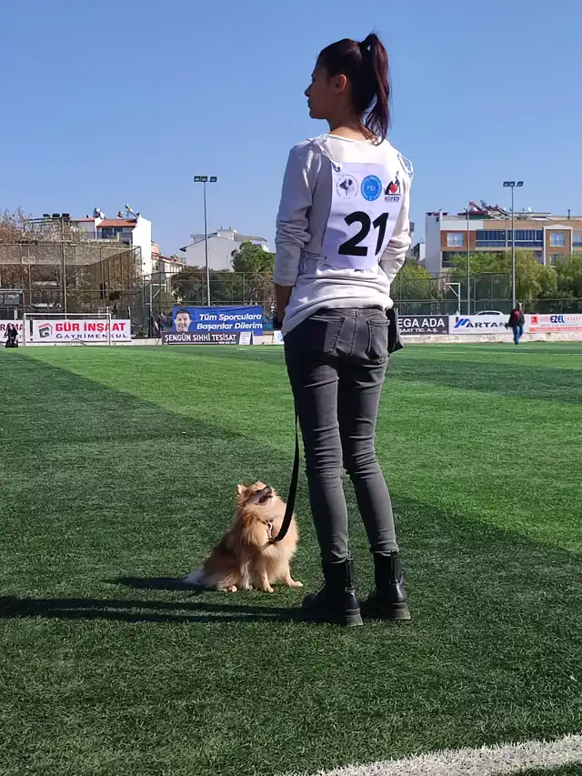 Gizem & Sushi Sosyal Köpek Sınavı