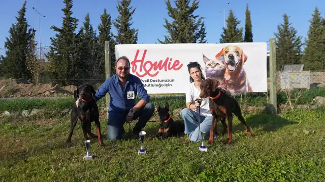 Nikita, Eos, Dexter Doberman Club Show İzmir